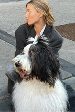 Load image into Gallery viewer, The Rebecca Earrings - Silver