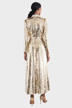 Load image into Gallery viewer, Jena Dress - Champagne
