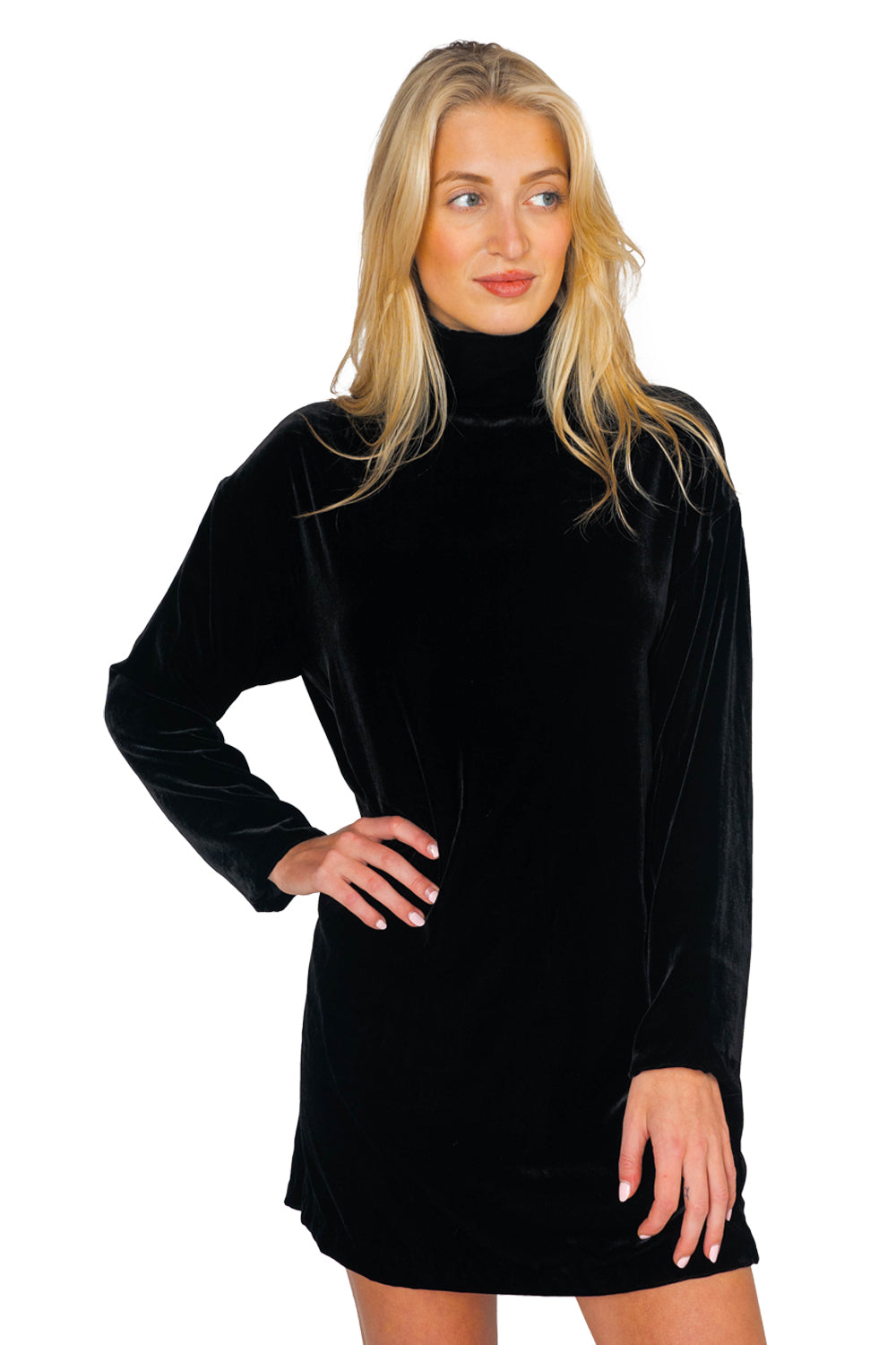 Edie Turtleneck Dress - Black Silk Velvet Edie Turtleneck Dress - Black Silk Velvet