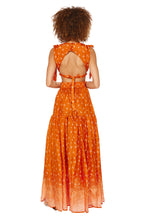 Load image into Gallery viewer, Amelie Maxi Dress - Radiance
