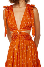 Load image into Gallery viewer, Amelie Maxi Dress - Radiance
